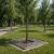 Kratka pod drzewo Albero